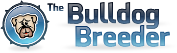 The Bulldog Breeder