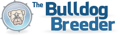 The Bulldog Breeder
